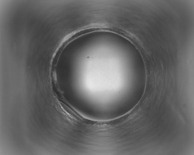 X0000054421168200508121744