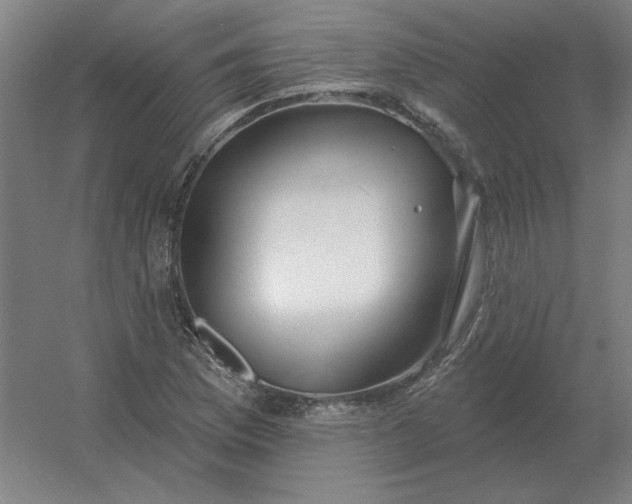 X0000054421169200508121744