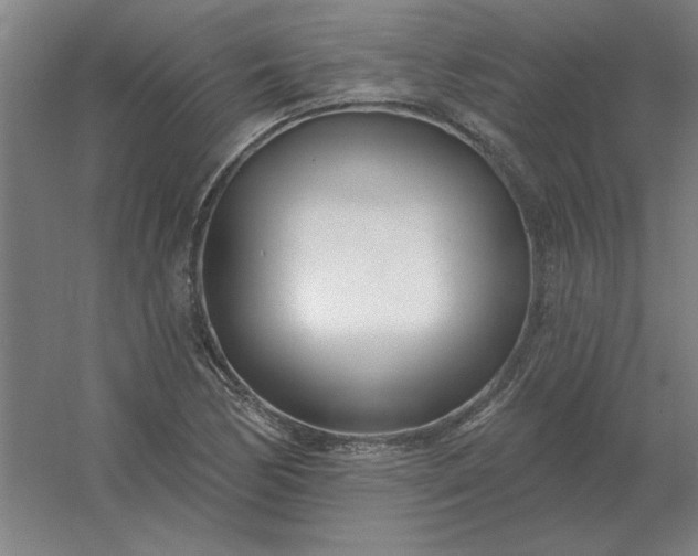 X0000054421170200508121744