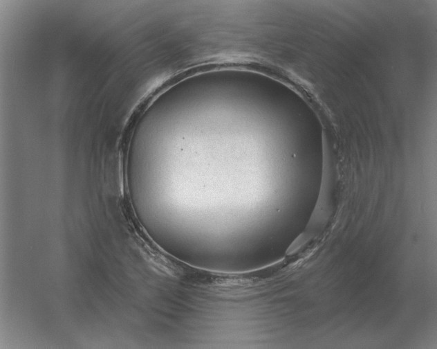 X0000054421171200508121744