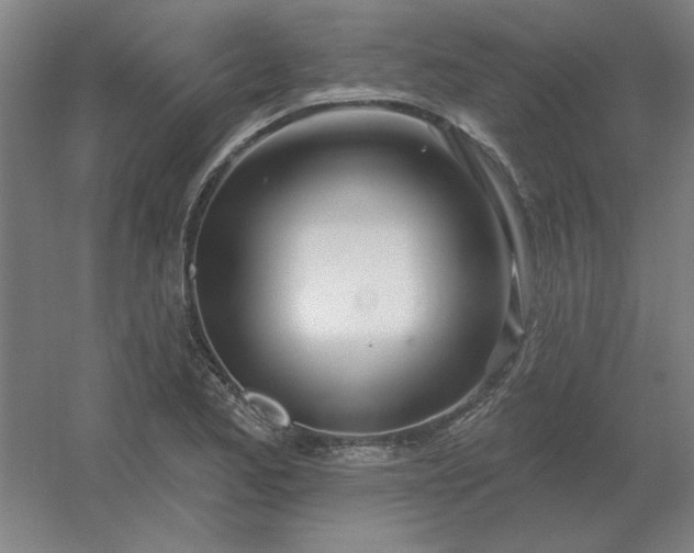 X0000054421173200508121744