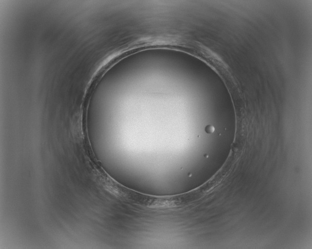 X0000054421174200508121744