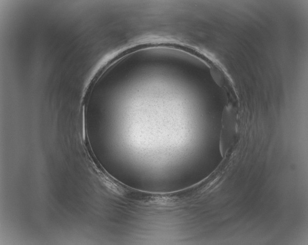 X0000054421175200508121743