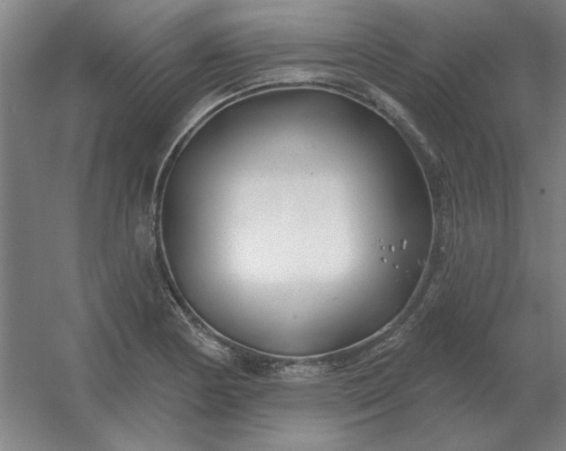 X0000054421178200508121743