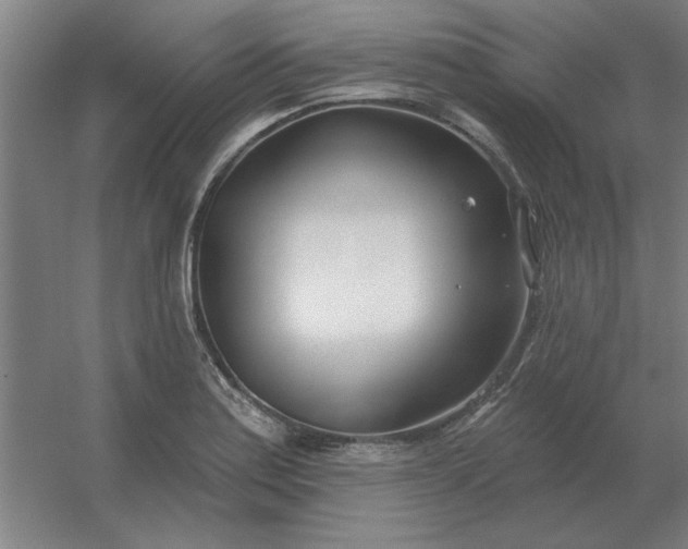 X0000054421179200508121743