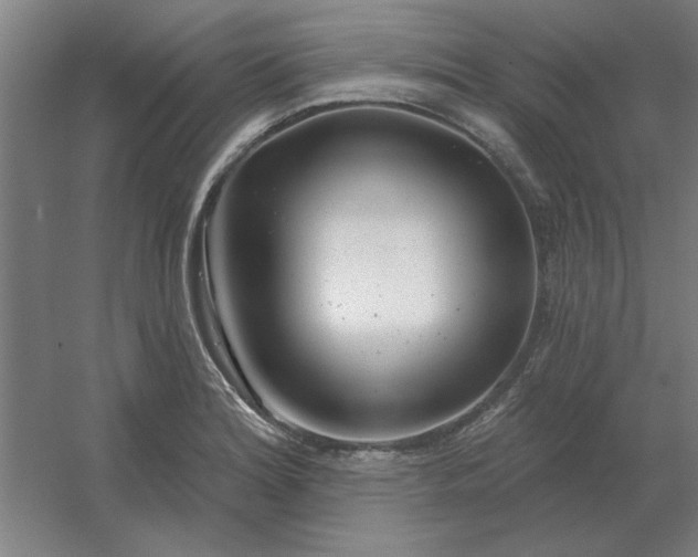 X0000054421180200508121743