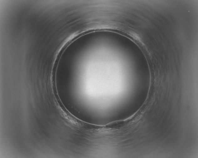 X0000054421181200508121743