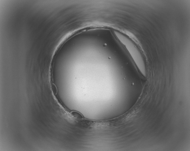 X0000054421183200508121743