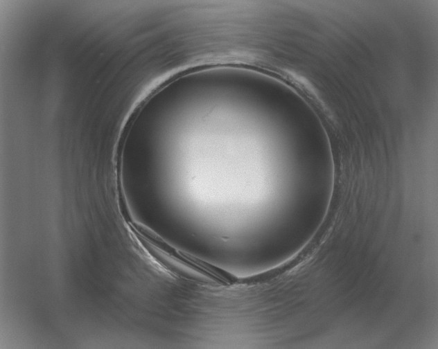 X0000054421184200508121743