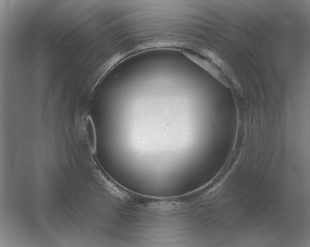 X0000054421185200508121743