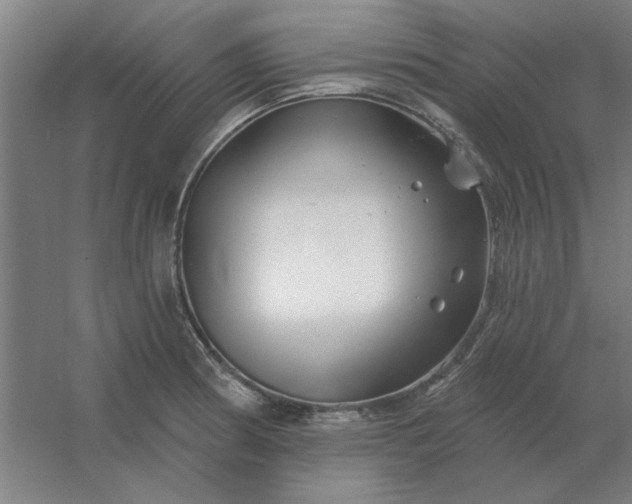 X0000054421186200508121743