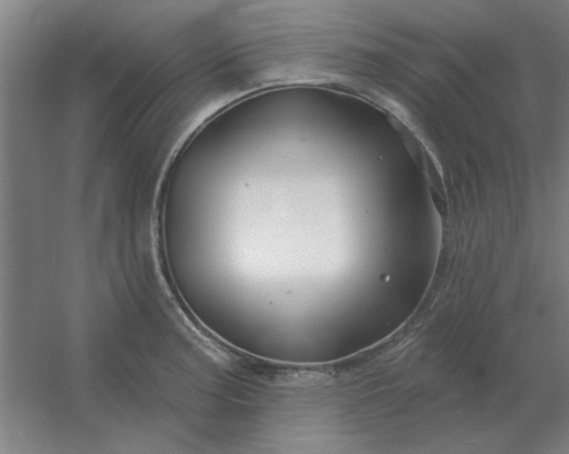 X0000054421187200508121743