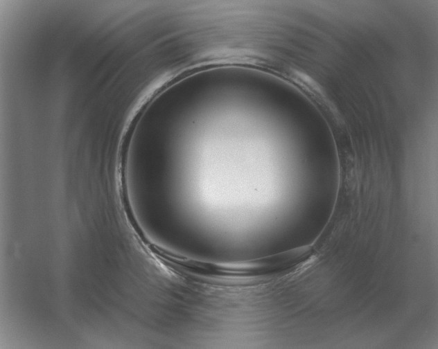 X0000054421188200508121743