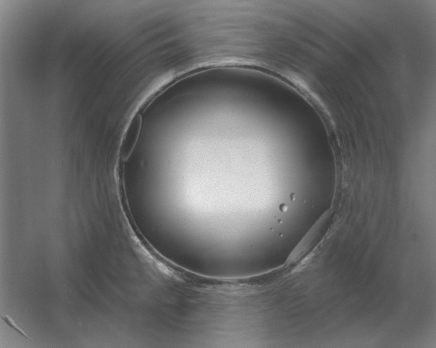 X0000054421189200508121743