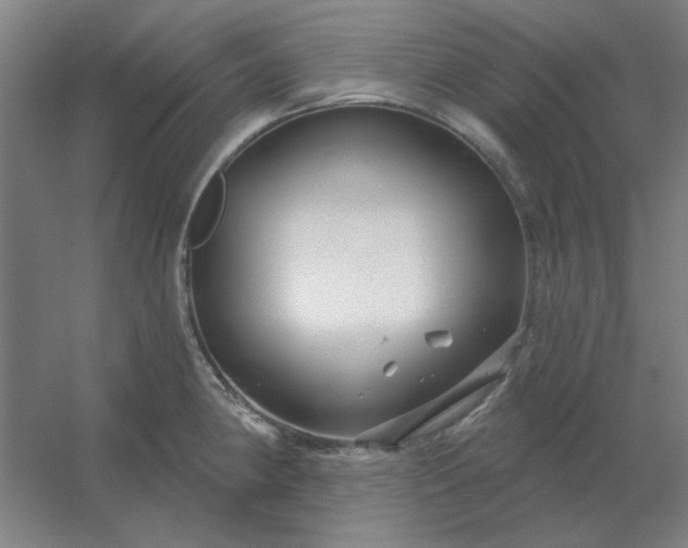 X0000054421190200508121743