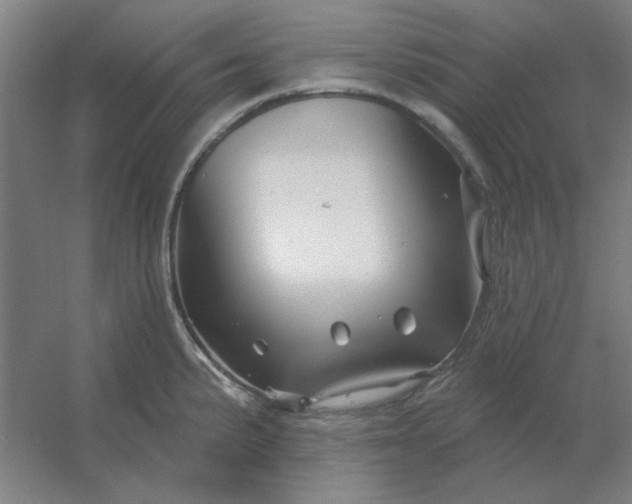 X0000054421191200508121743