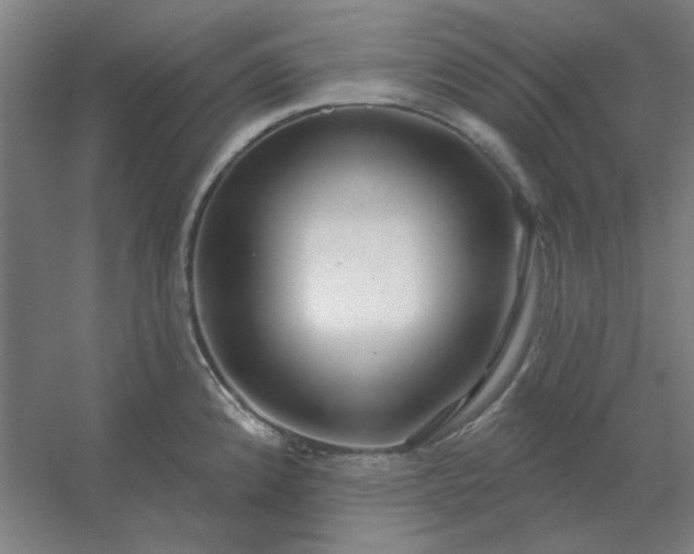 X0000054421192200508121743