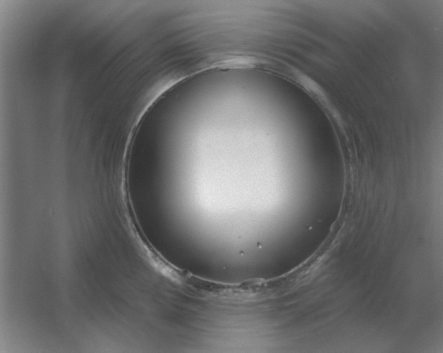 X0000054421194200508121743