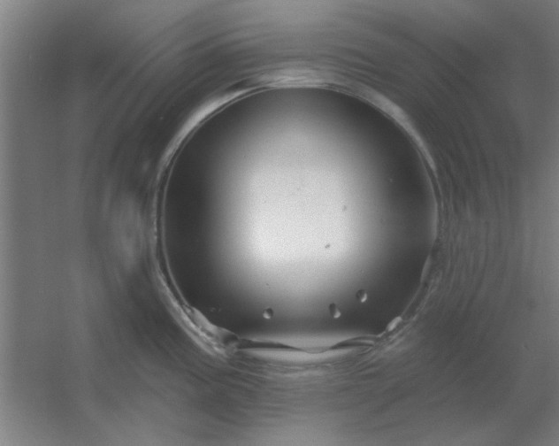 X0000054421195200508121743