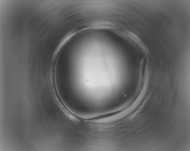 X0000054421196200508121743