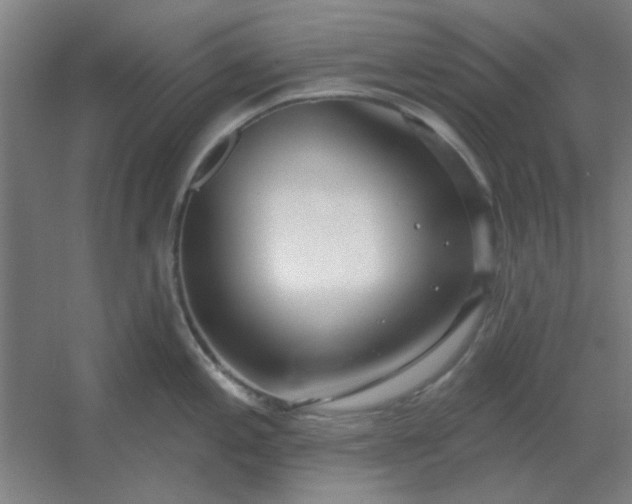 X0000054421197200508121743