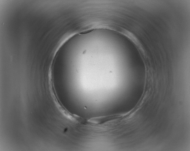 X0000054421198200508121743