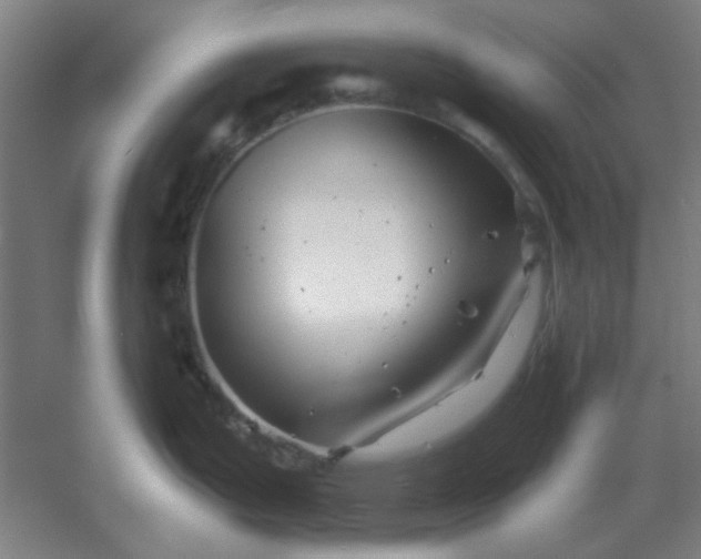 X0000054421199200508121743