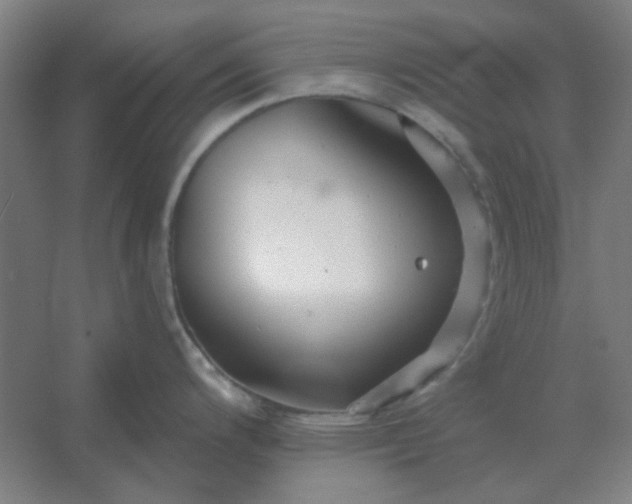 X0000054421200200508121743