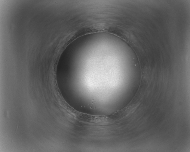 X0000054421201200508121742