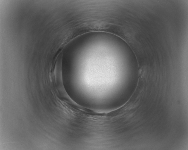 X0000054421202200508121742