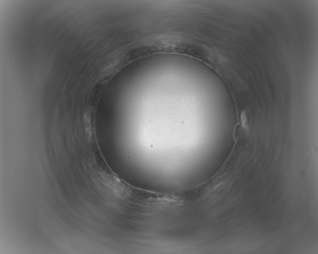 X0000054421203200508121742