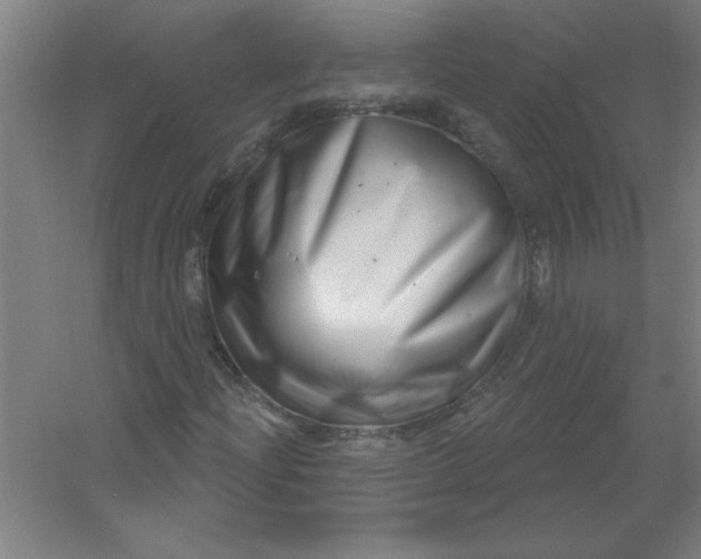 X0000054421204200508121742