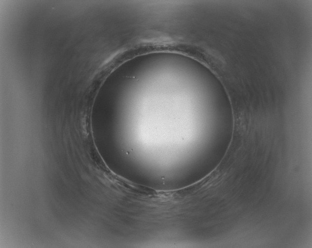 X0000054421205200508121742