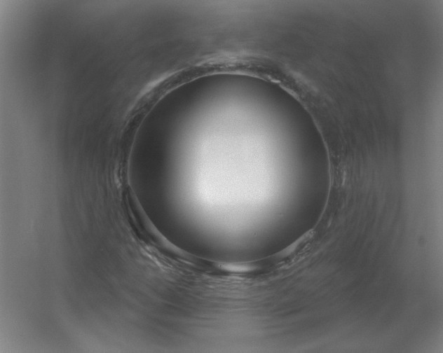 X0000054421206200508121742