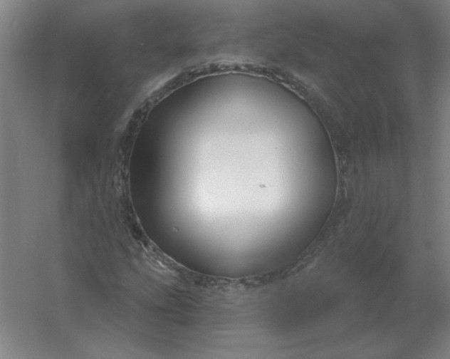 X0000054421207200508121742