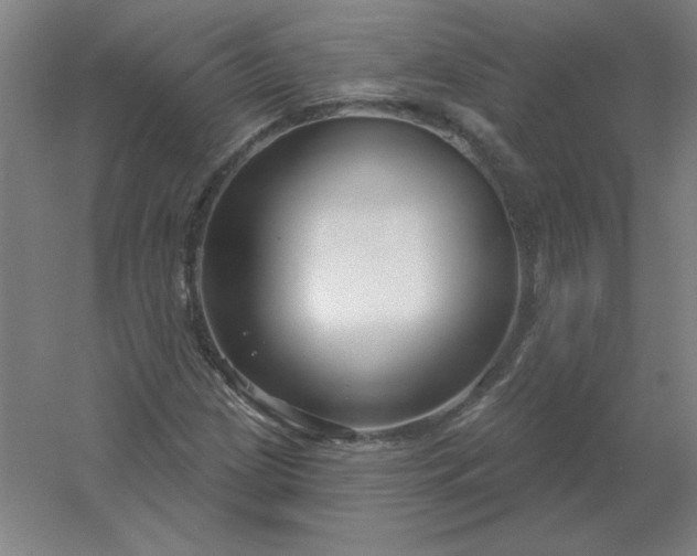 X0000054421209200508121742