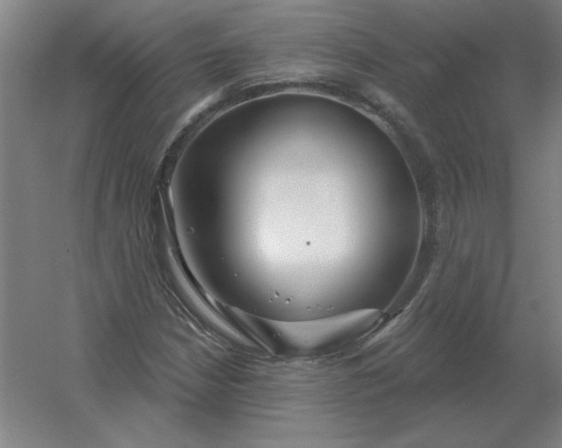 X0000054421210200508121742