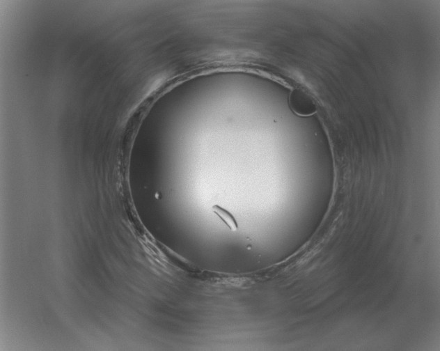 X0000054421211200508121742