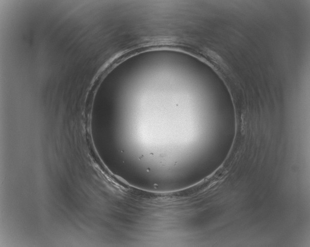 X0000054421212200508121742