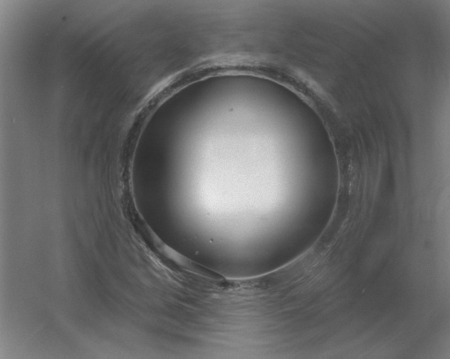 X0000054421213200508121742