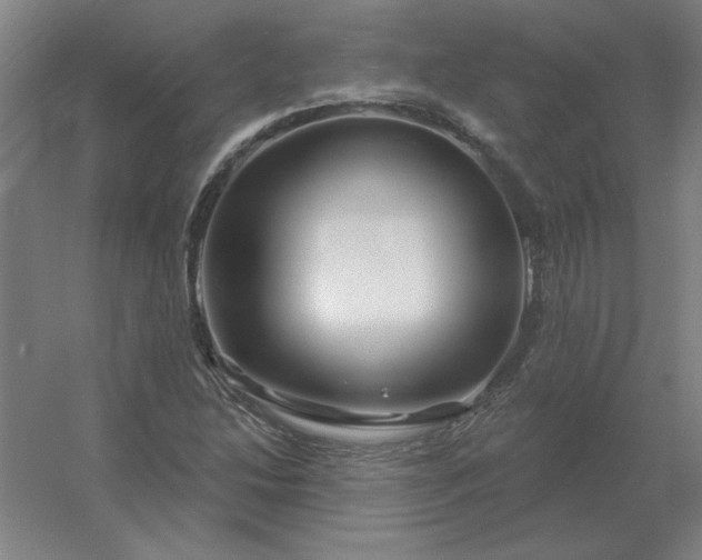 X0000054421214200508121742