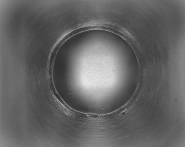 X0000054421216200508121742