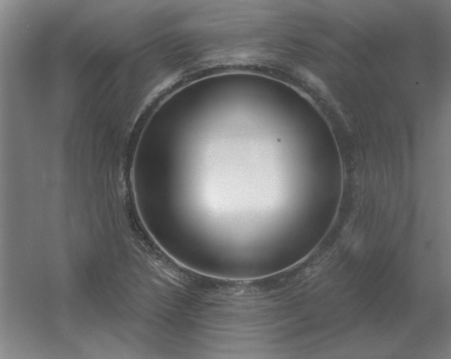 X0000054421218200508121743