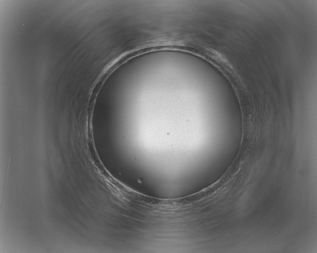 X0000054421220200508121743