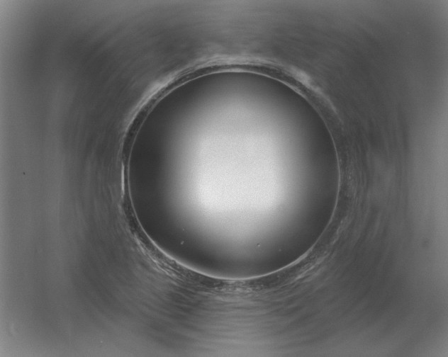 X0000054421221200508121743