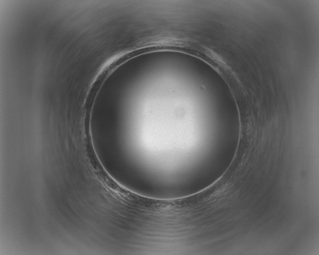 X0000054421222200508121743