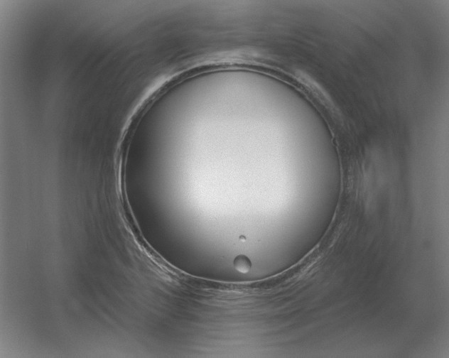 X0000054421224200508121743