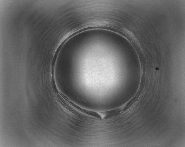 X0000054421226200508121743