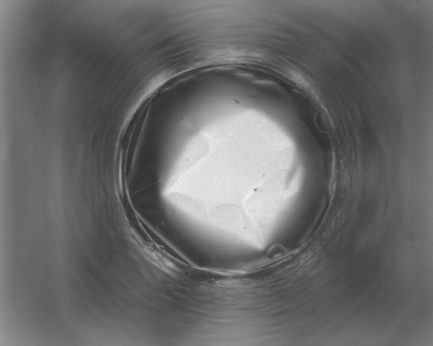 X0000054421227200508121743