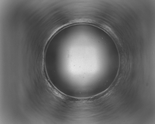 X0000054421228200508121743